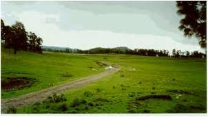 agricultura extensiva