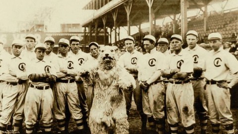 ultimo-equipo-de-los-cachorros-campeon-de-serie-mundial