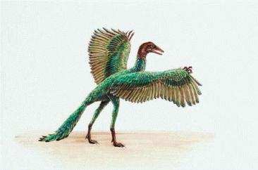 Archaeopteryx