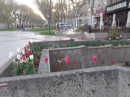 Una vista de la parte occidental de Carcasona
