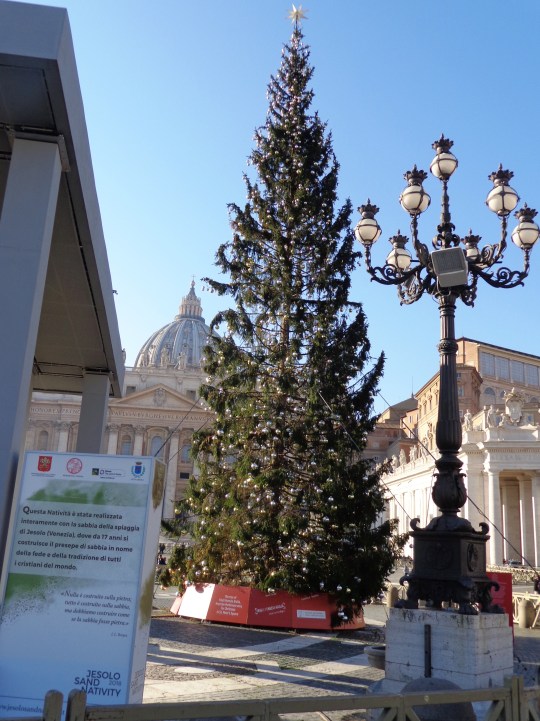 Árbol navidad 2018 en Piazza San Pietro