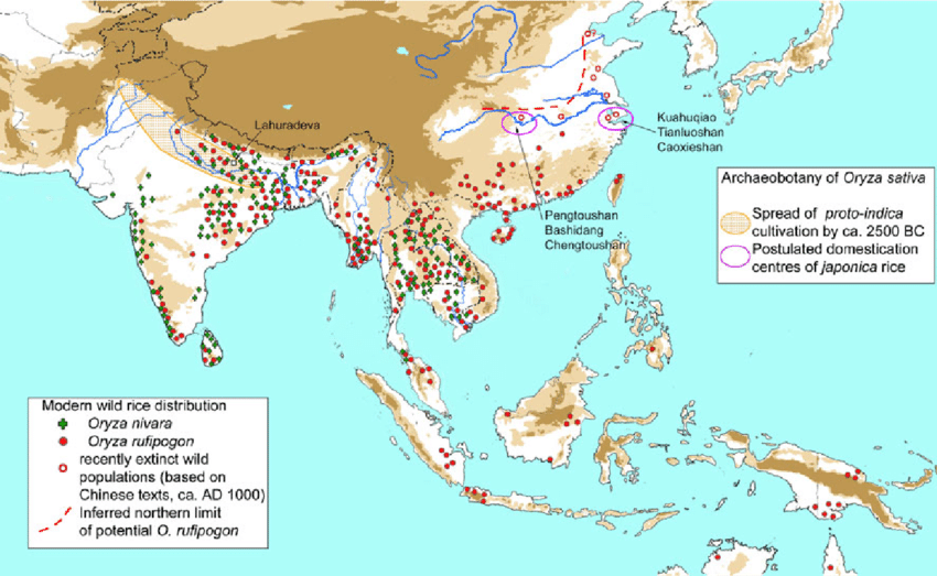 Mapa de la distribución actual de O. rufipogon y O. nivara en Asia
