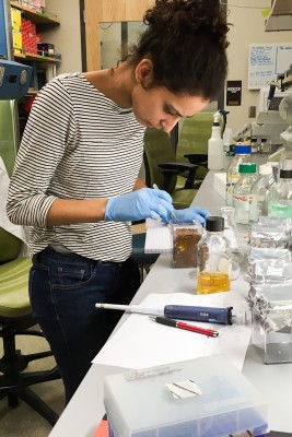 Photo del lab BYU.jpg